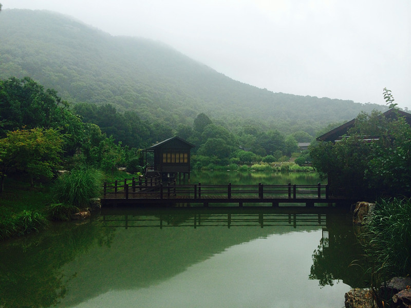 ��������̶